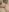 Tracy_Sergio209 Just tits, try not to cum Pic 7
