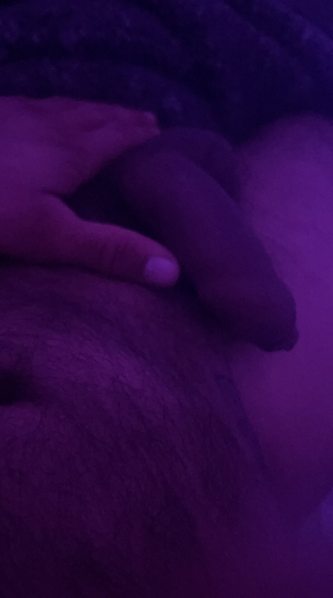 Трендове зображення  9659 ojo4206