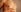 _Eva_Lee Pussy close up Pic 7