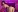 tokioray Sasha topless in transparent black panties, slides her panties off and shows her hairy pussy Pic