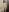 SamanthaVibeMeFuck that girl照片 2