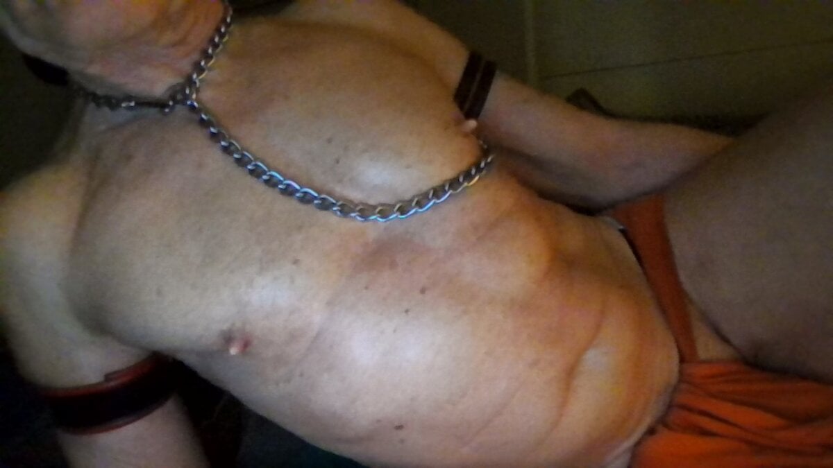 alixgraccus adlı kullanıcının viral fotoğrafları:  4449