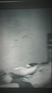 F U N de NAMOR__  2 Imagens