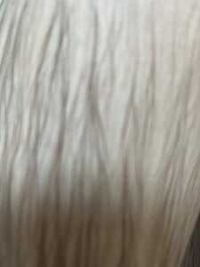 Public de danyele69  Imagens