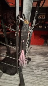 KammyJoe my toys.. sweet nasty ones! Pic 3