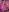 threesome_dolls#Striportreat照片 5