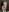 taddy_shyCheerleader照片 5