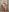 Jessie_Curlyy naked in the shower  4. fénykép