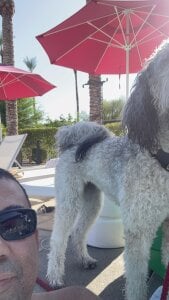 mochabbc Public  3টি ছবি