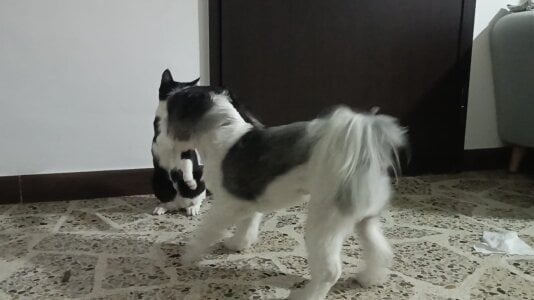 Alex-Harrington Public Billede 2