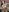 Karol_Goddess_ofhe_love exclusive photos for your collection, enjoy them Pic 5