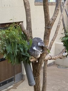 Zdjęcia Sei_room Public:  4