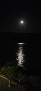 Ory_stev Public Pic 3