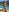Porn_cornn ☀️⛱️🌊 Pic 4