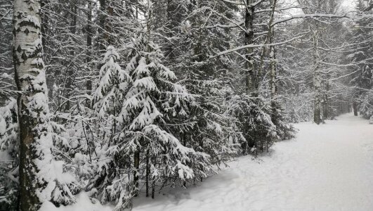 AngelenaCrittendon wiintert time  5টি ছবি