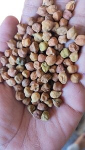 rainyboy8520 Sex Pic 4