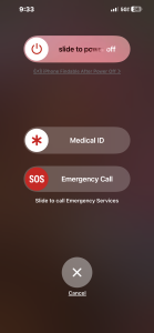 caliisno Public Pic 8