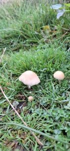 FreezingTie850 2 Gambar 4