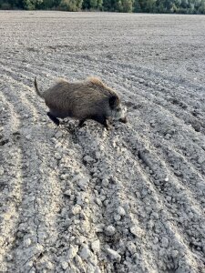 Carlostosssss Public Foto 4