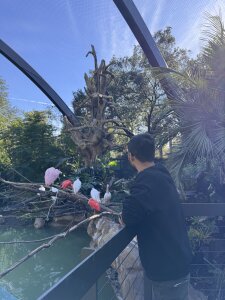 AleMarquxz Public Pic 2