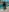 AnjaAmelia Vacation vibes Pic 4