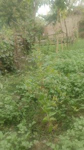 Public od SoloBabeji  4 snímek