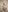 Coconut_Mia Gently Naked Body Pic 5
