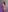 LindaRoyz NAKED FLIRT Pic 5