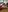 tentacion696 Puro morbo Photo 3