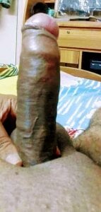 CockForPussy1508Public Bild 2