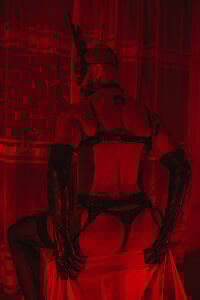 castle_87 BUNNY ON THE LOOKOUT!!! Pic