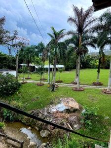 Salome_nevot 🌸Beautiful view🌸 Pic 4