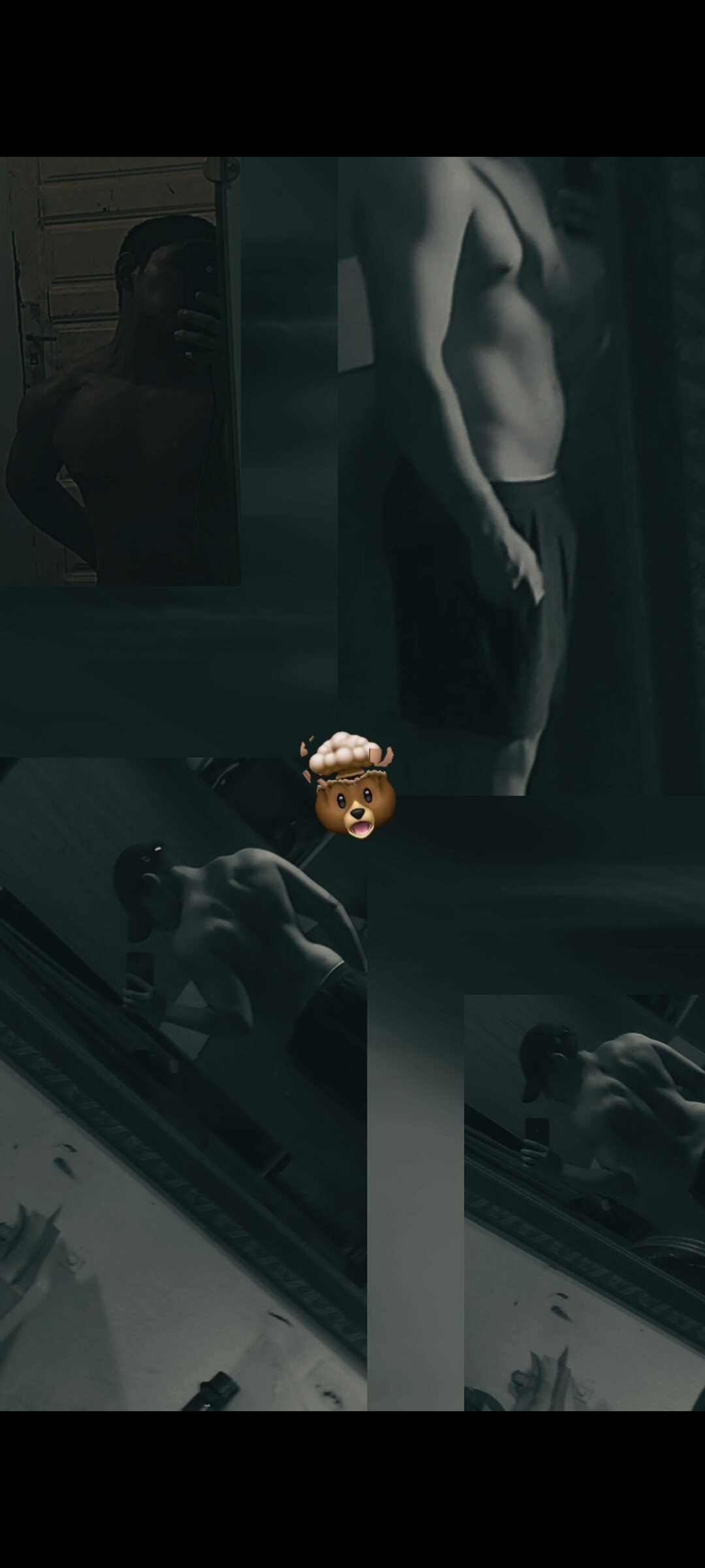 Foto  1071 de gato01020 – em alta