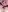 mailin18 inside my pussy Pic