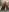 Mikka_Blush New image Photo 4