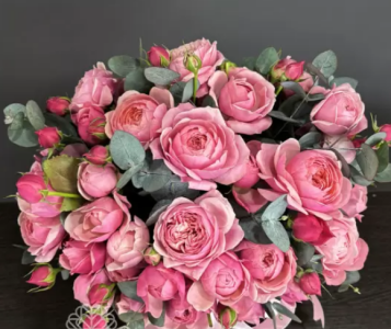 Audrey_Aura bouquet Foto 8