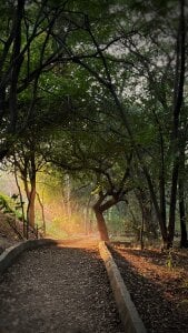 Public de dopa_6917 Foto 2