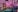 Tamara_18 PRETTY BEAUTY DOLL Photo 3