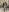 catherinecan69 Bodystocking ppv Pic 4