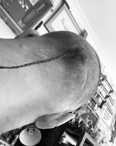 beg4mycutiepie0Ulick Public Foto