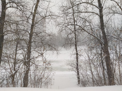 Erinn_SkyPublic图片 5