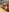 Mikka_Blush Erotica at work Photo 5