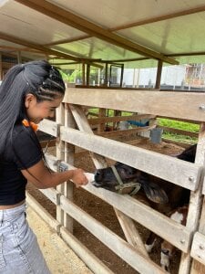 Zdjęcia Shirleytaylor- 🌄:  2