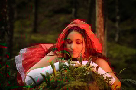 butterfly777_ The wolf is not the only one who bites Pic 5