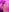 taylor_camhot Taylor pretty girl hot Pic 9