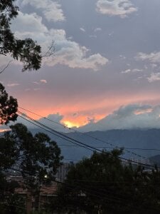 Zayn_maxwell Public Bilde 3