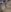 K4Li3Rxyzz phone nudes Pic 6