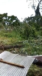 Alyxa_Star Your kindness and any tip would be greatly appreciated Foto 5