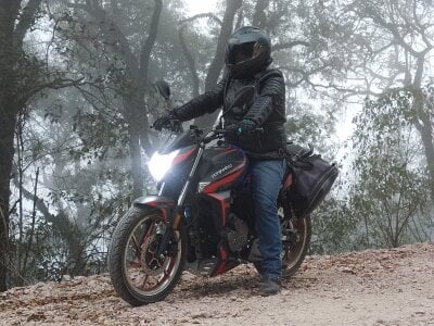 Davidort23 Gratis Bilde 3