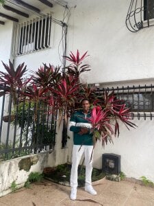 mike_aly 𝐑𝐨𝐦𝐚𝐧𝐭𝐢𝐜 𝐌𝐚𝐧 🌹 Pic 2